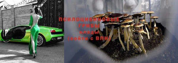 спиды Надым