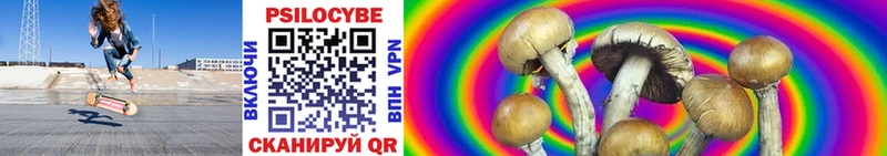 Галлюциногенные грибы Psilocybe  цены   Калининград 